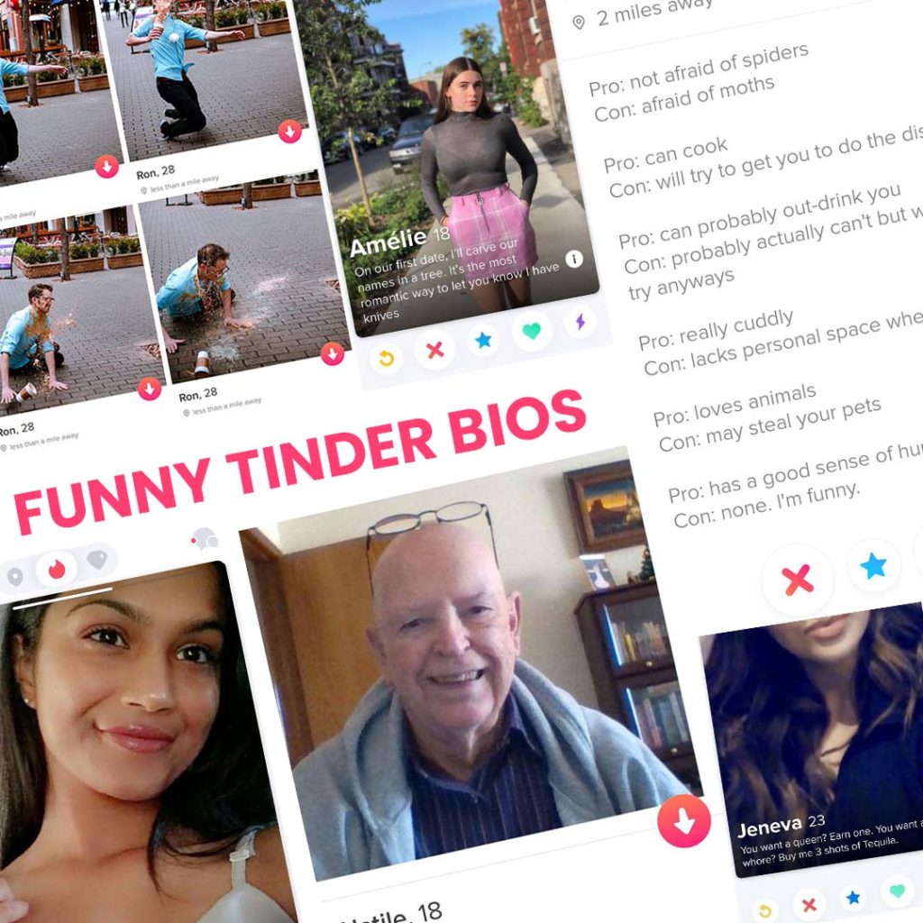 Funny Tinder Bios That Will Make You Swipe Right - Lol Gifs