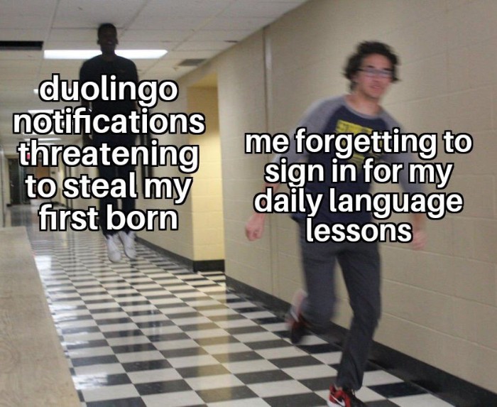 funny-duolingo-bird-memes