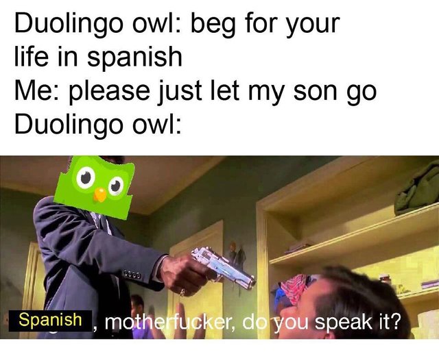 Duolingo-Owl-Gun