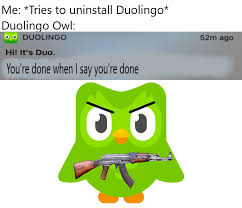 Funny_Duolingo_Owl_Gun