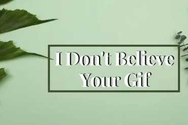 I Don't Believe Your Gif