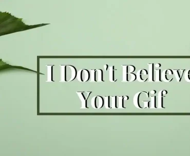 I Don't Believe Your Gif